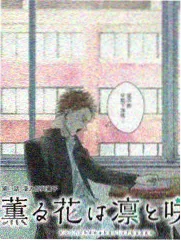城市漫游者 综艺背景图